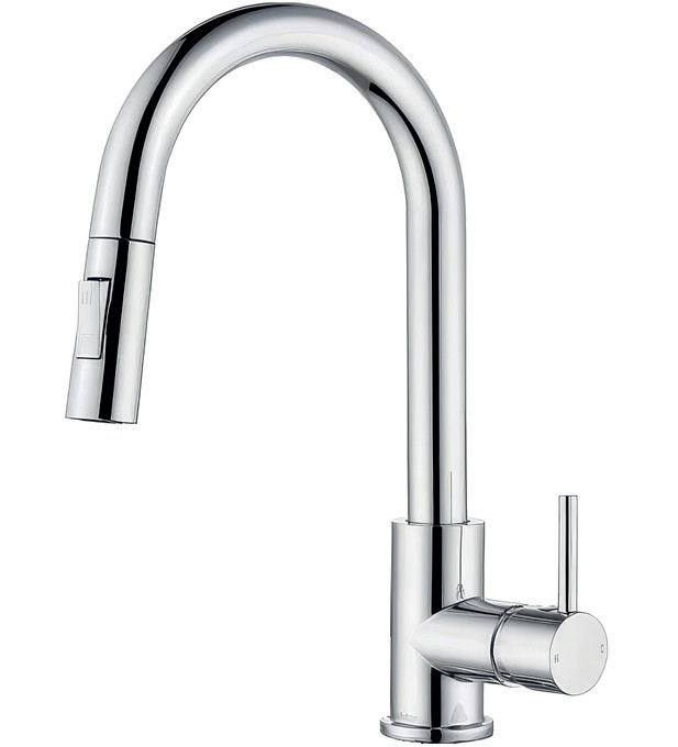 Asus Spiralli Evye Bataryası - gorsel 1